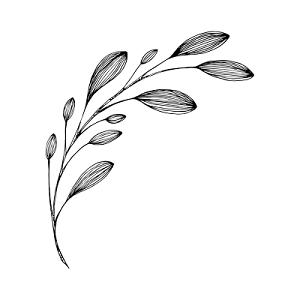 简约黑白镂空韩风插图树叶叶子植物