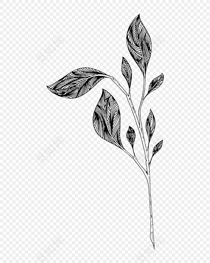 简约黑白镂空韩风插图树叶