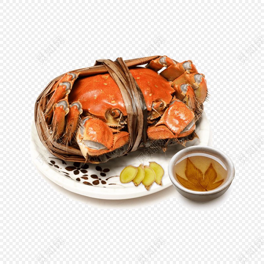特色秋季秋天美食阳澄湖大闸蟹螃蟹插画配图