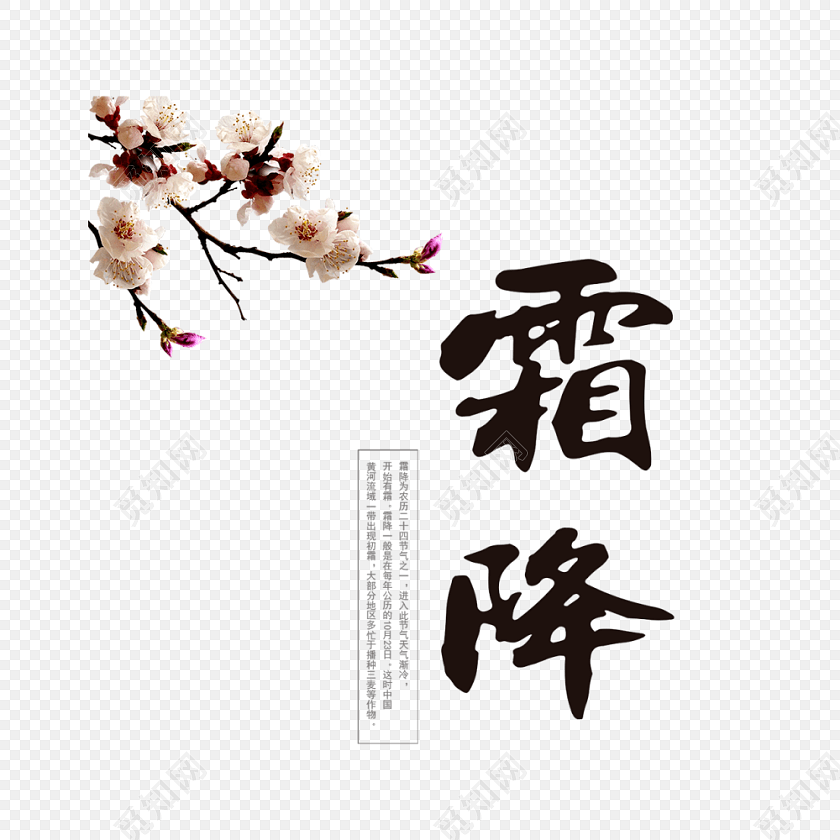 二十四节气霜降艺术字