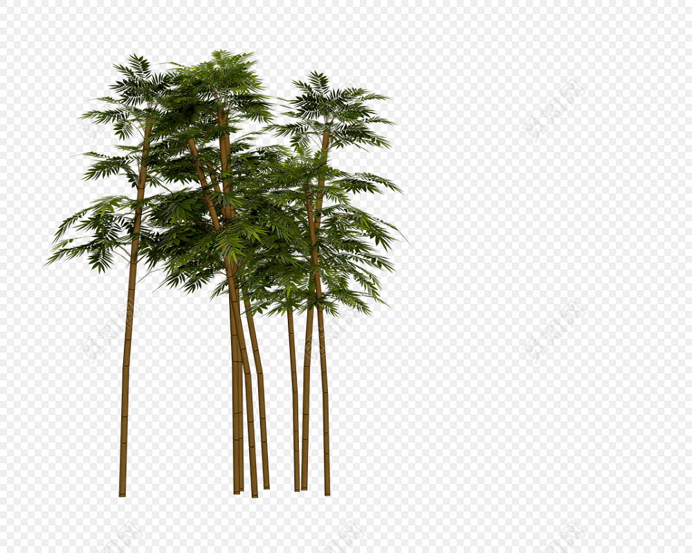 ҶӰز