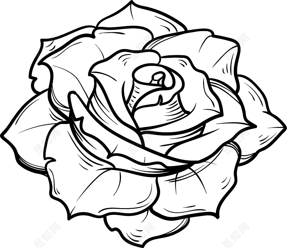 素描线条花朵植物素材