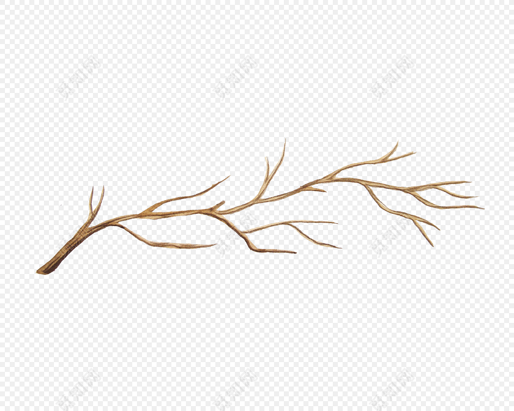 清新简约树枝植物素材