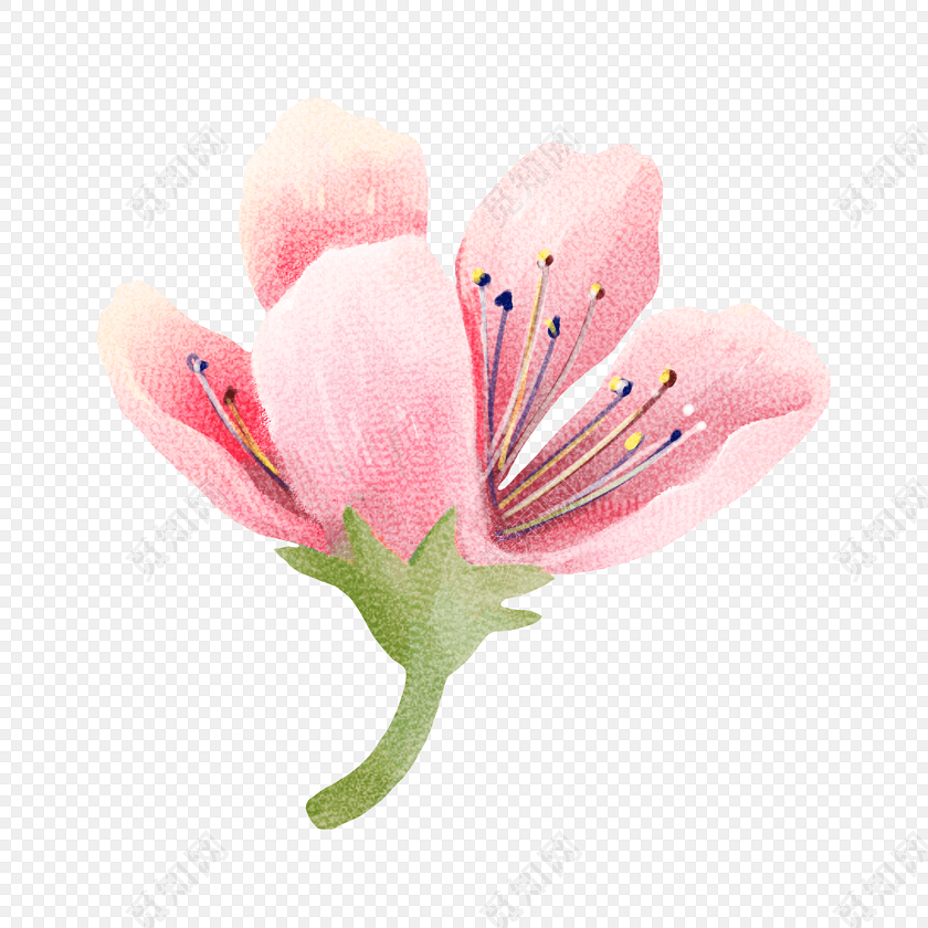 卡通粉色清新樱花花苞素材