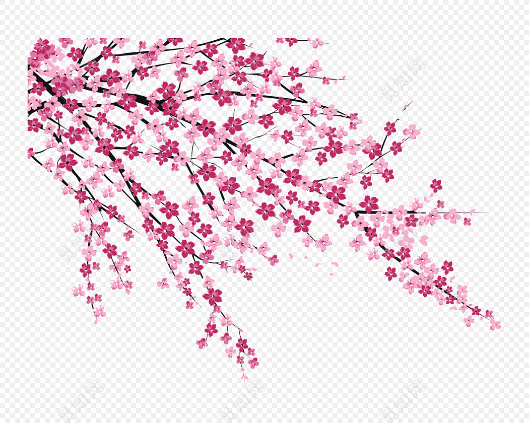ŭӣ֦ز_pngز_֪
