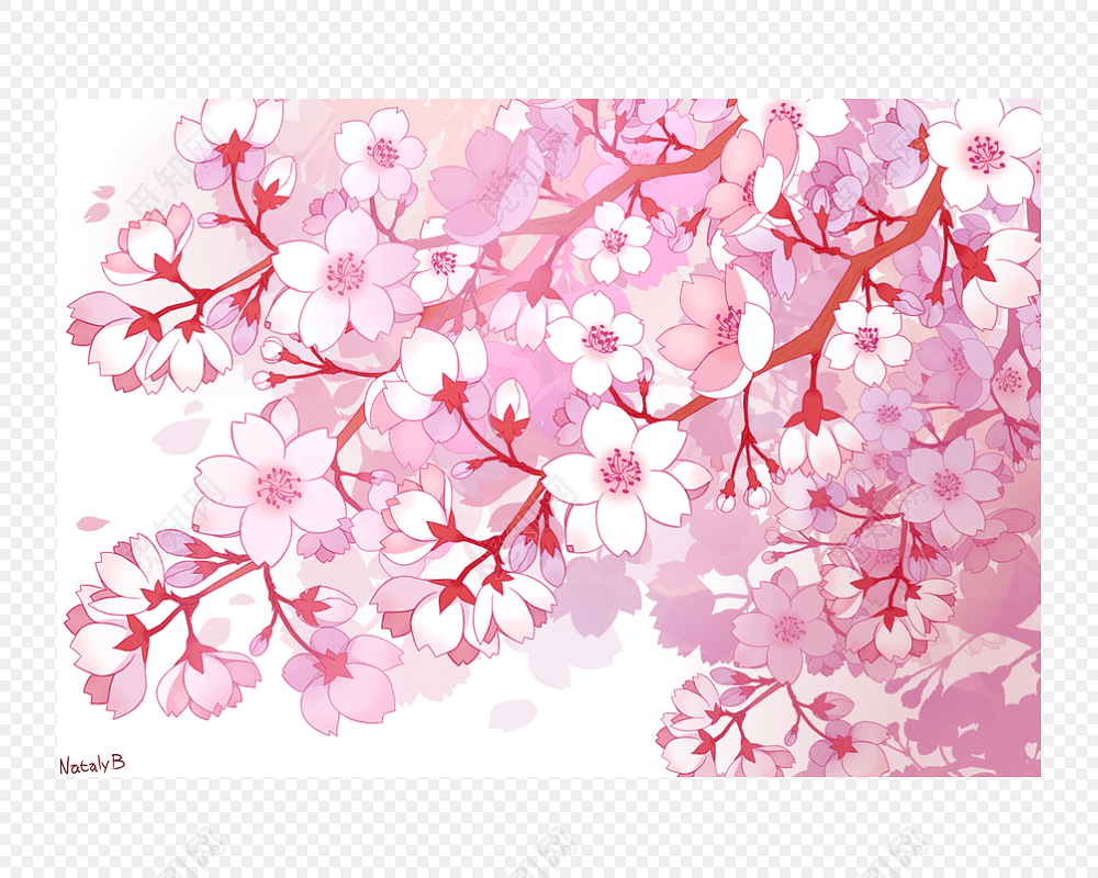 怒放樱花花枝素材