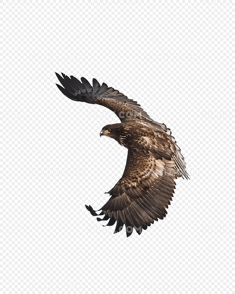 下载png png素材 翱翔的鹰 标签:翱翔的鹰免费下载 老鹰飞翔翅膀雄鹰