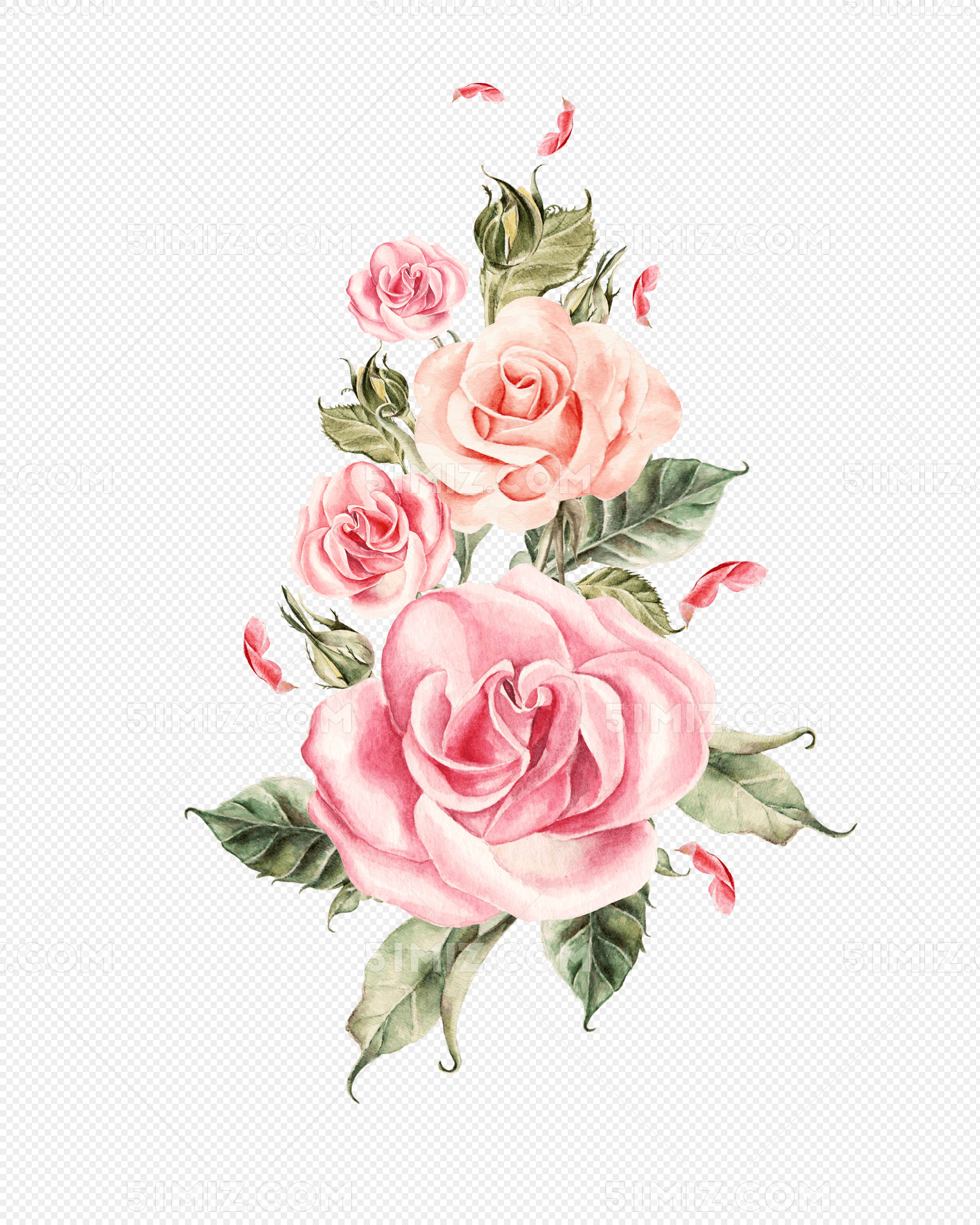 手绘粉色玫瑰花束