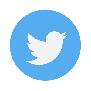 twitter图标255306 下载  twitter的鸟矢量图形286481 白色twitter