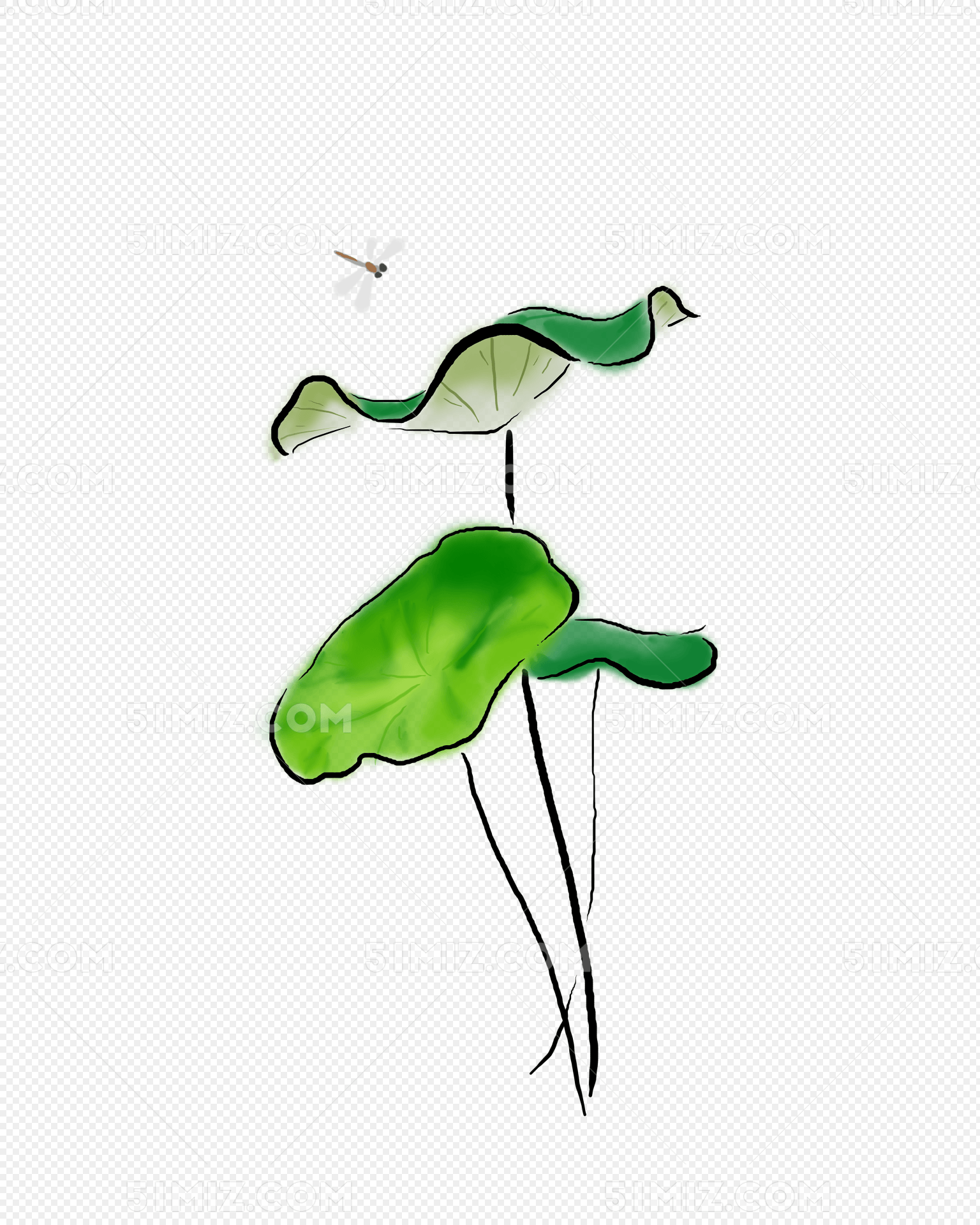 夏至手绘荷叶和蜻蜓