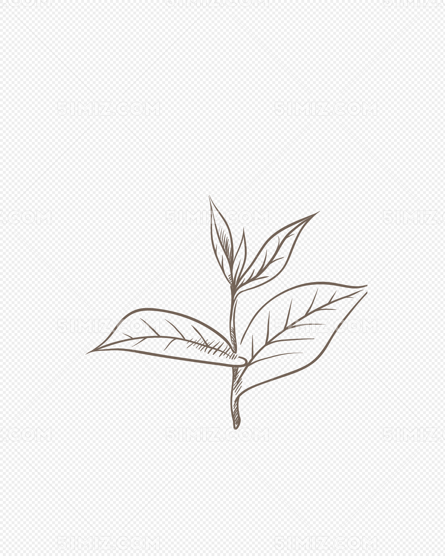 黑色线条茶叶矢量素材