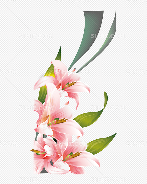 漂亮百合花一束百合花图片素材免费下载_觅知网