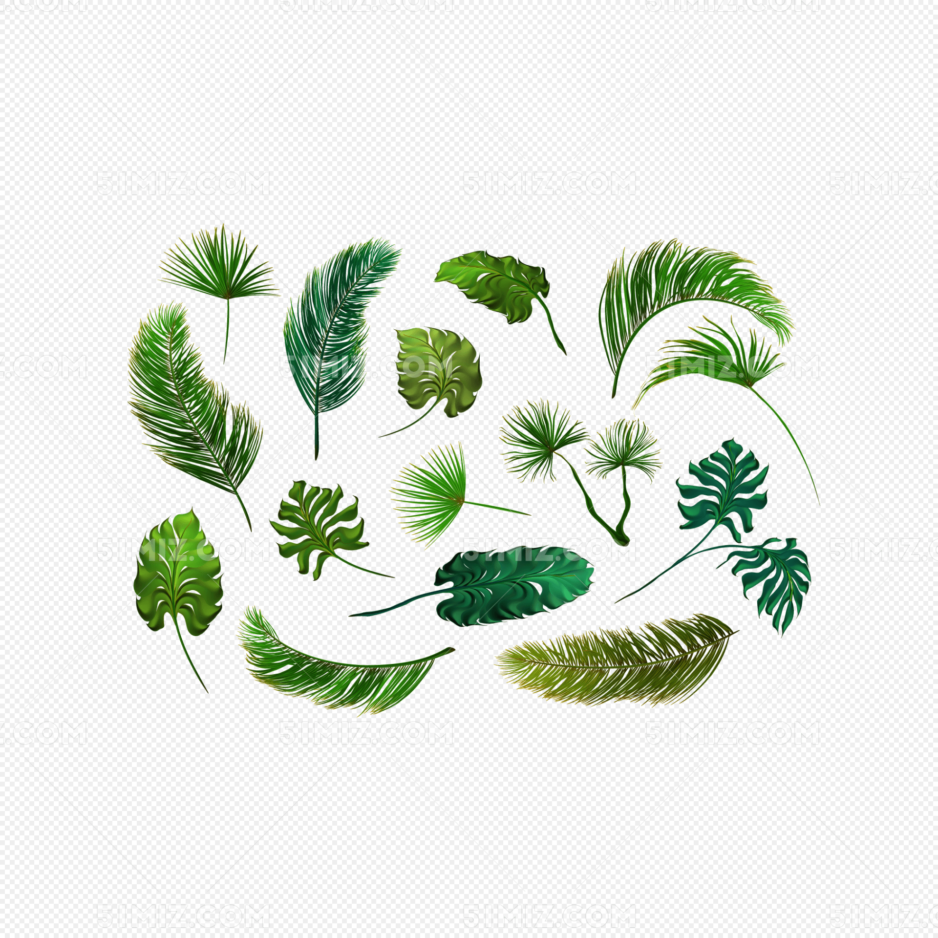 ʸҶҶ