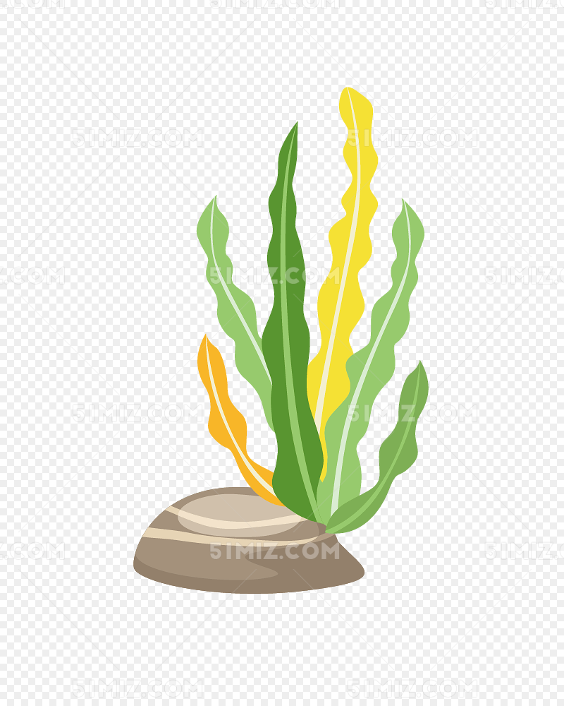 卡通水草