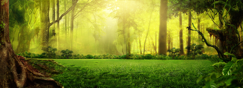 һֻɫλɭִȻbanner