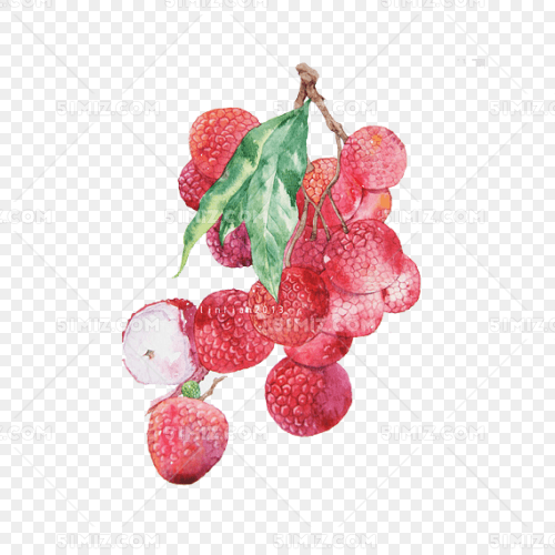 ֻ廭֦