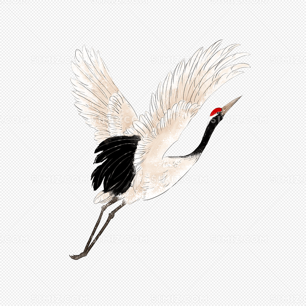 中国风仙鹤飞翔插画