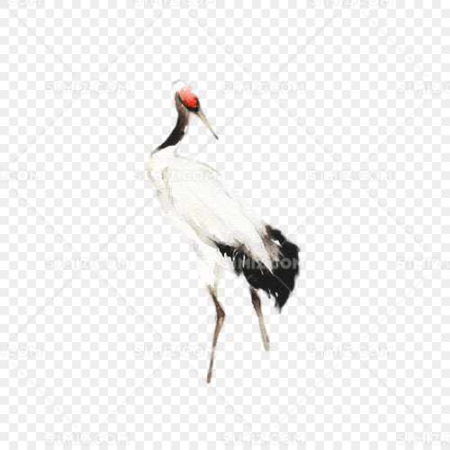 ˮī