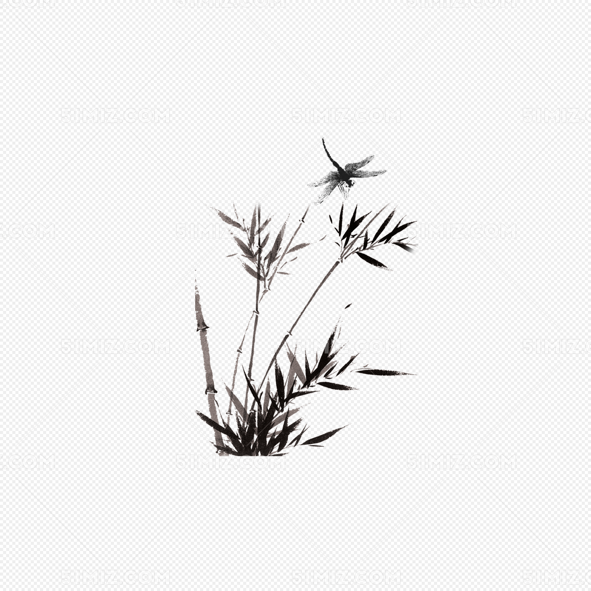 ˮī