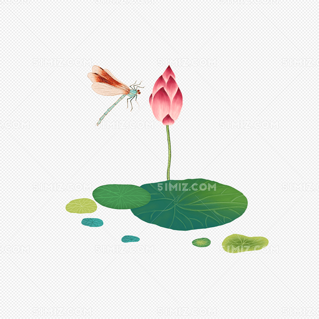 荷花和蜻蜓手绘插画