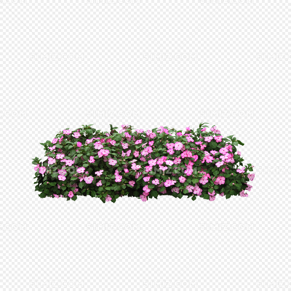 灌木花丛