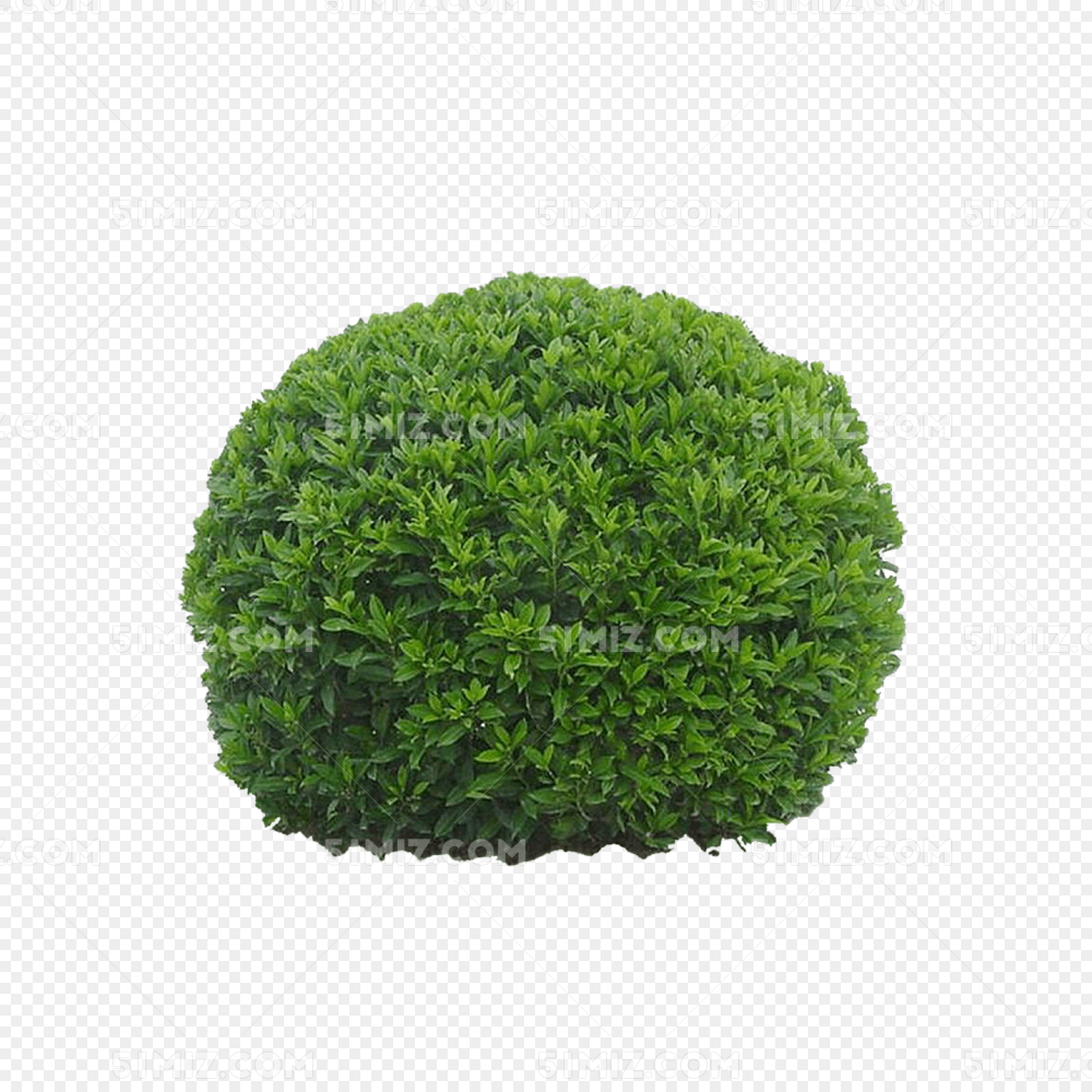 平面树灌木园林景观素材