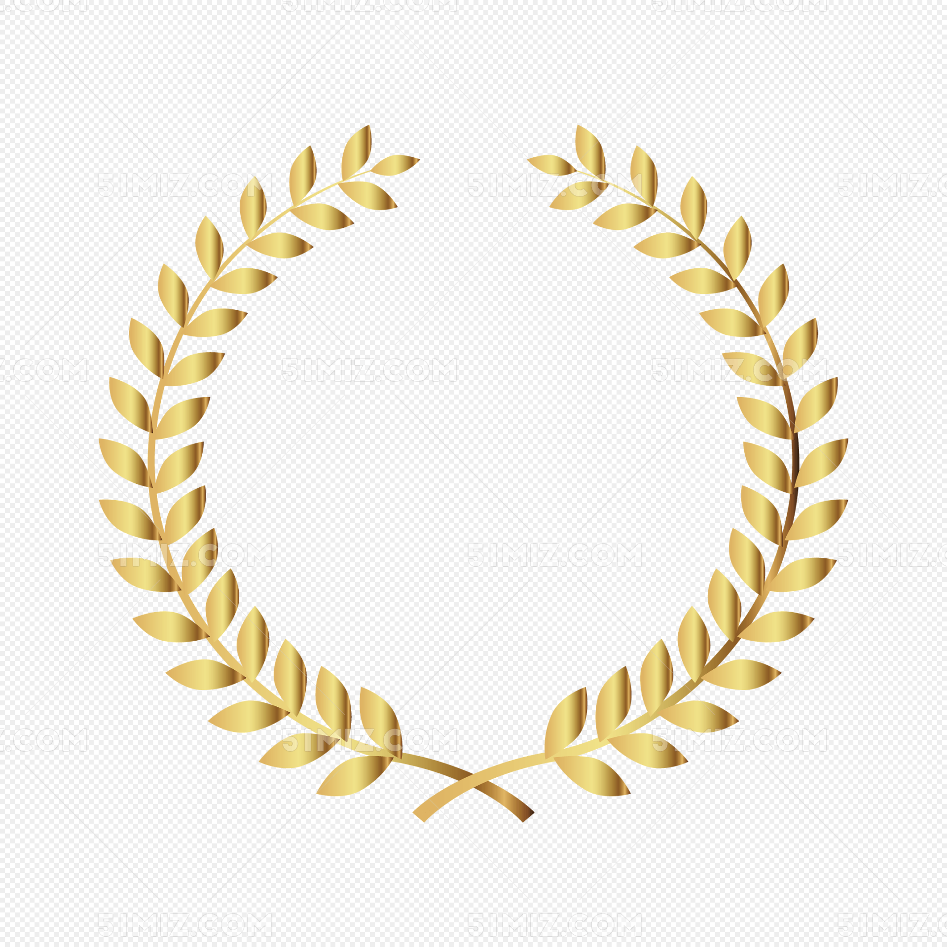 橄榄枝