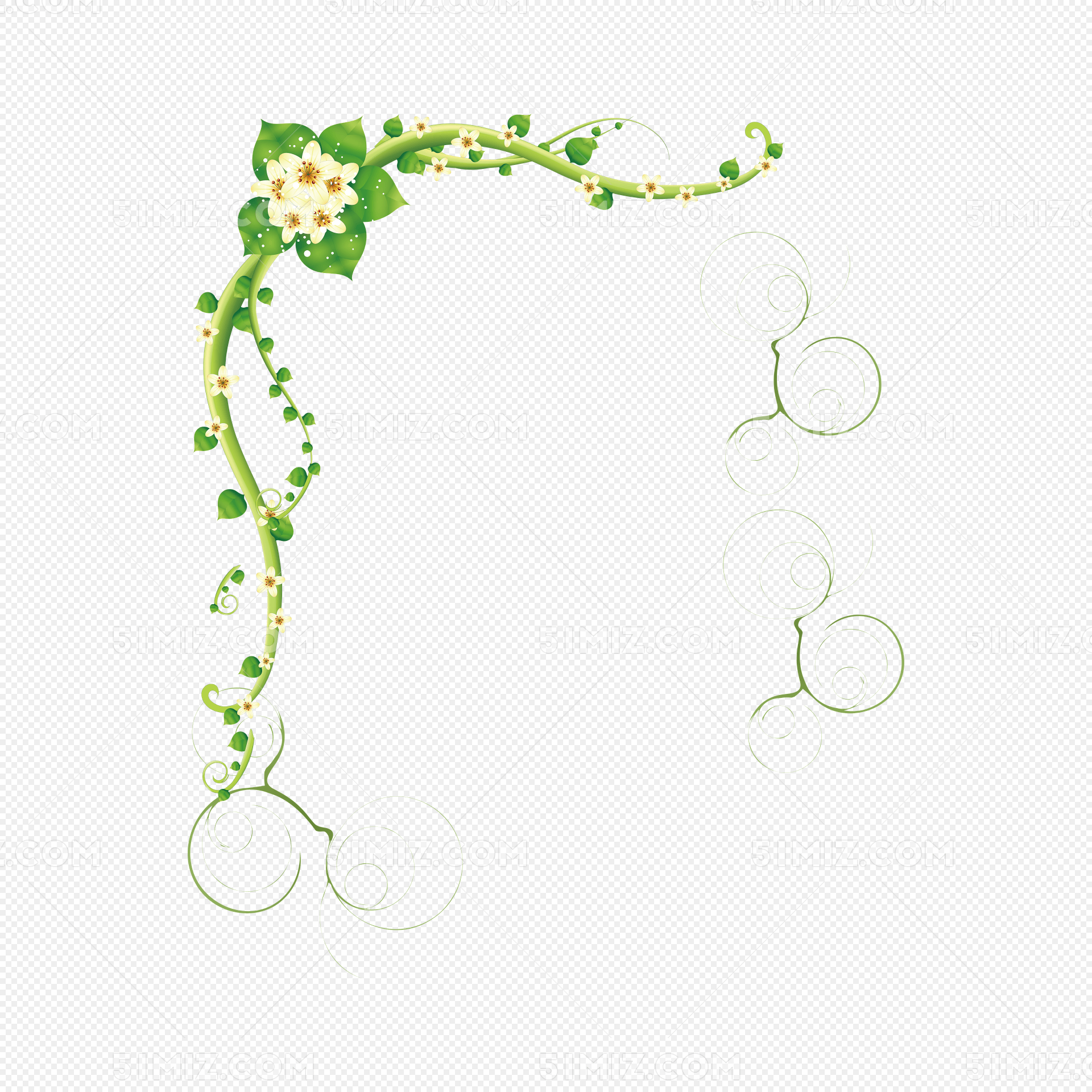 花藤可爱绿色
