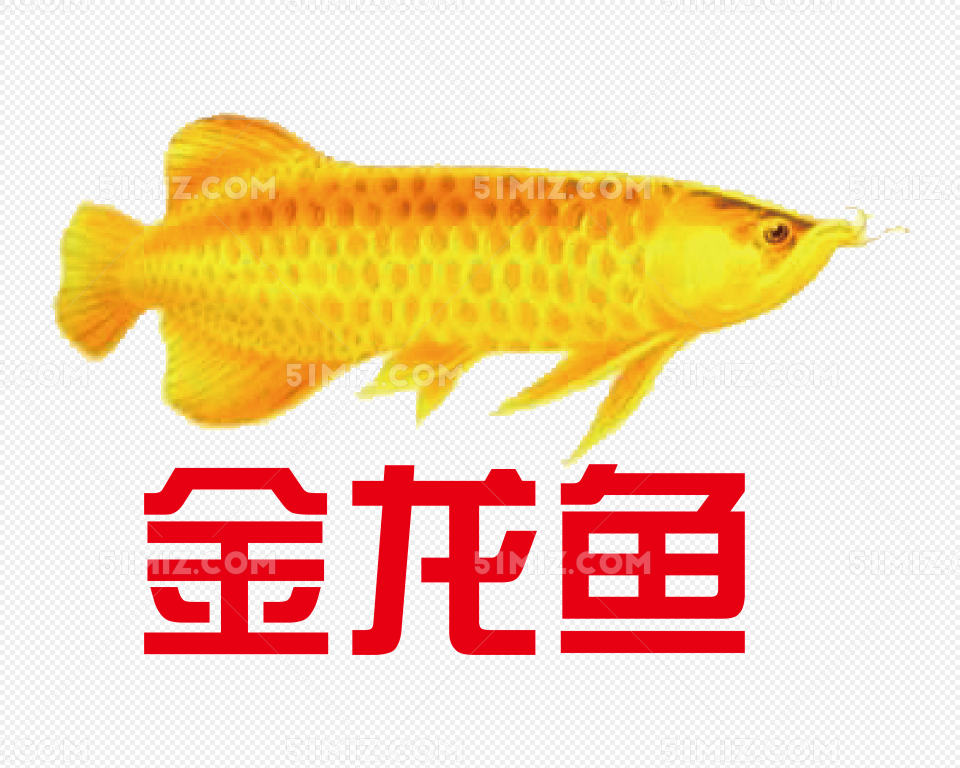 金龙鱼logo下载