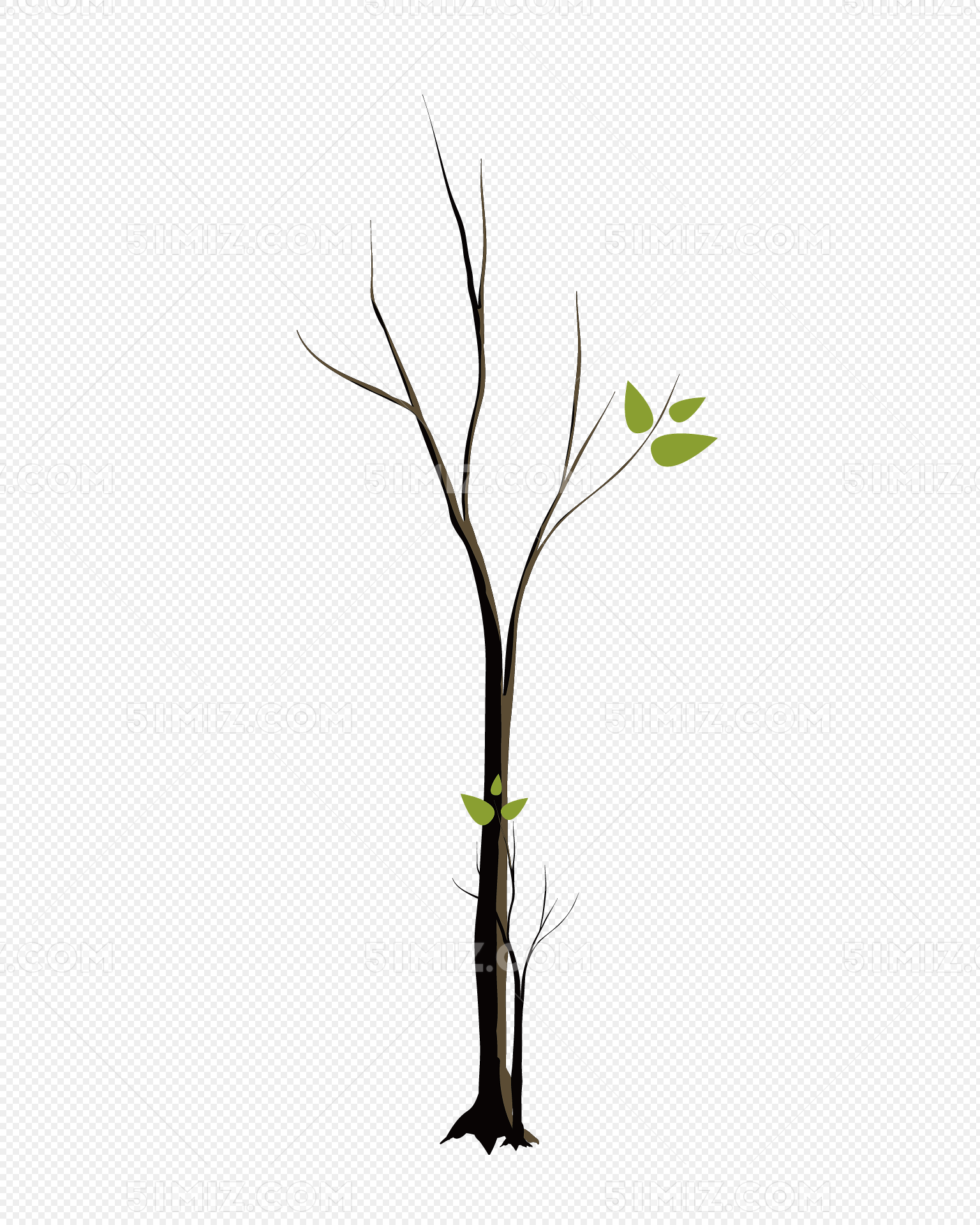 绿色发芽的小树