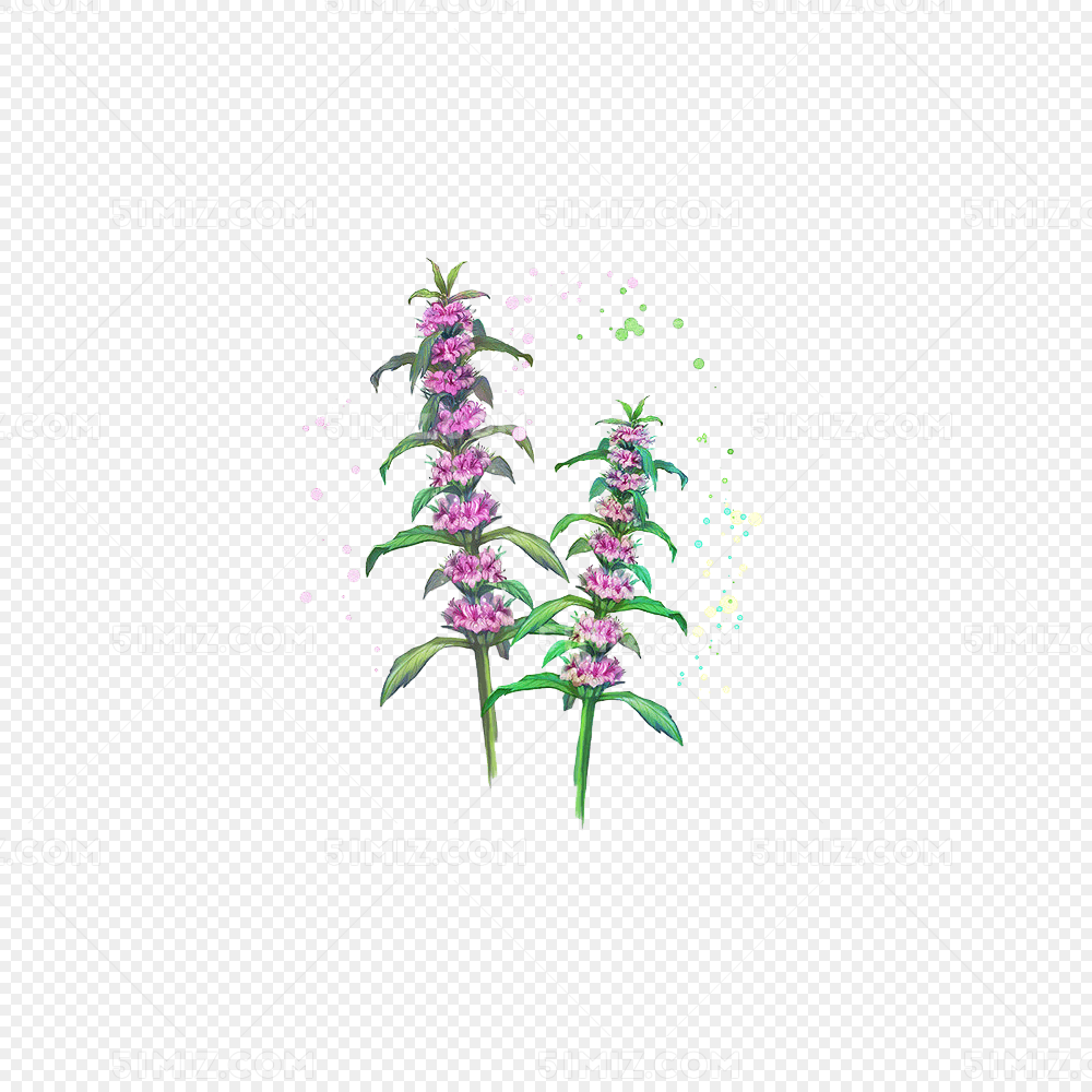 卡通手绘中草药益母草素材
