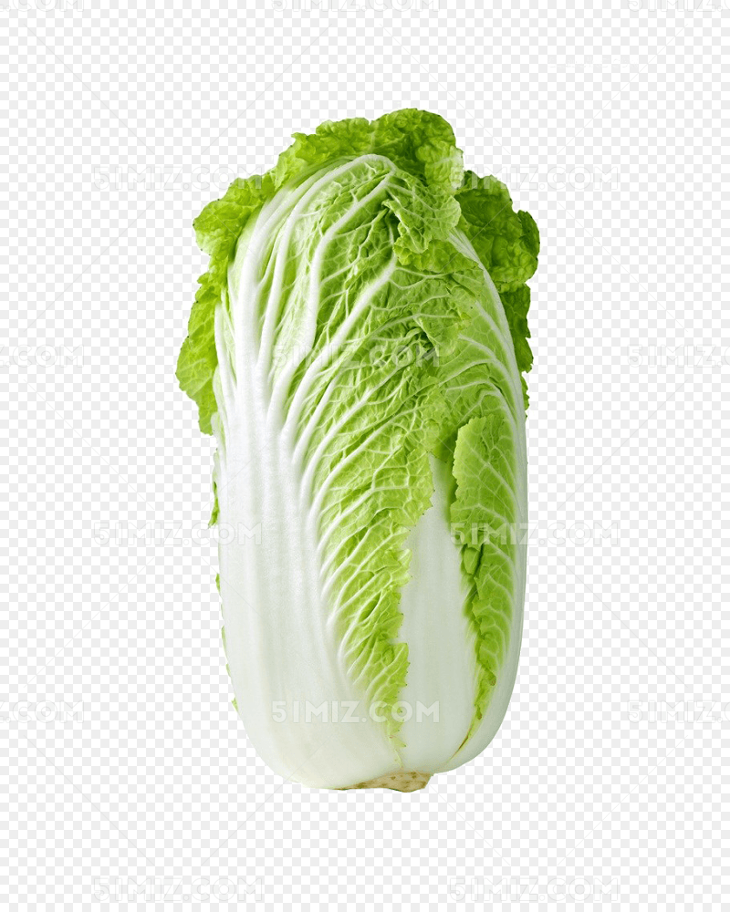 大白菜高清素材