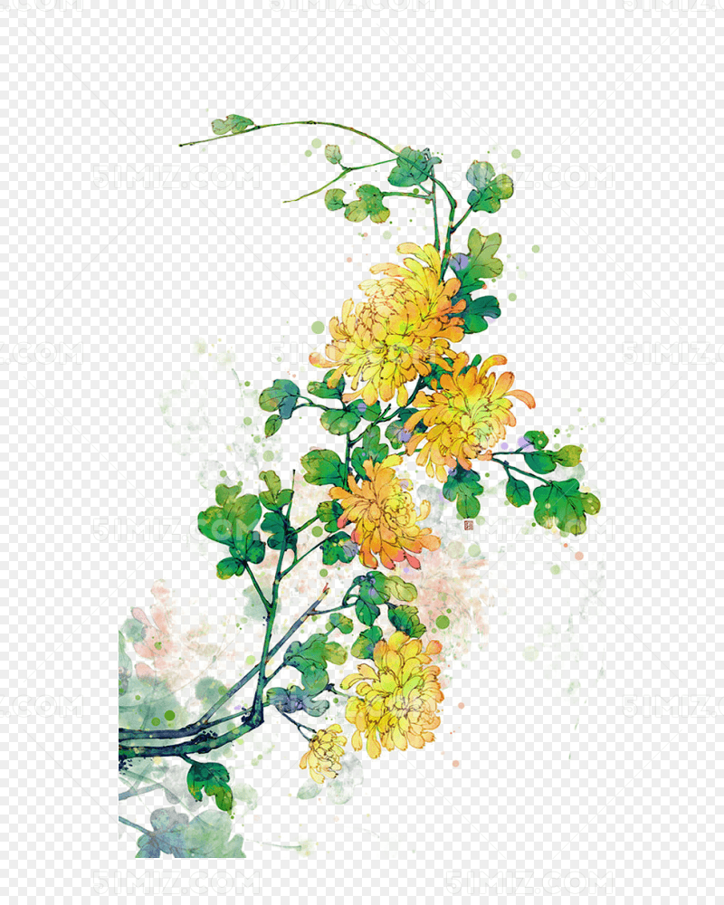 手绘花卉黄色菊花
