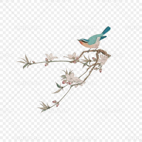中国风典雅手绘树枝花鸟