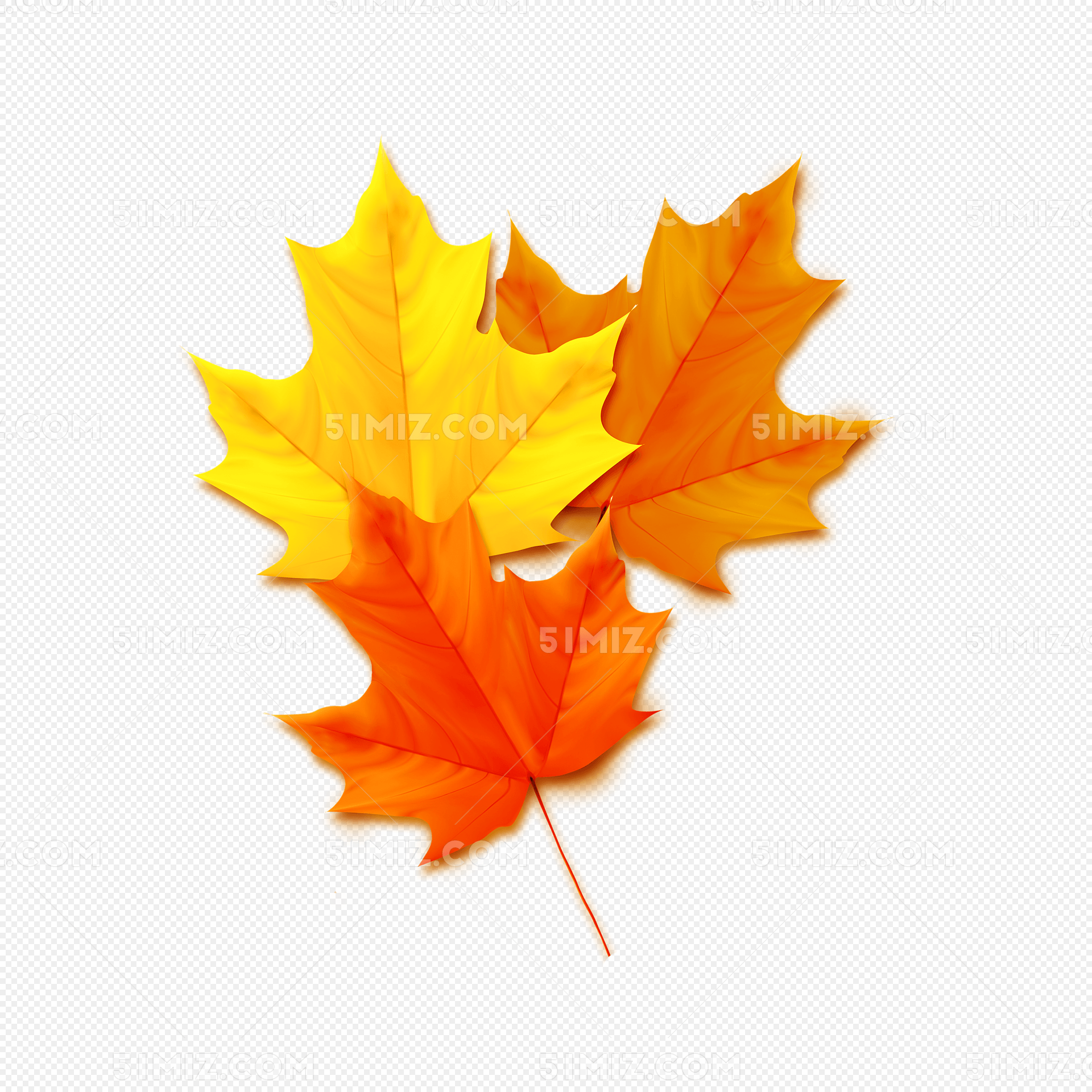 Ҷ