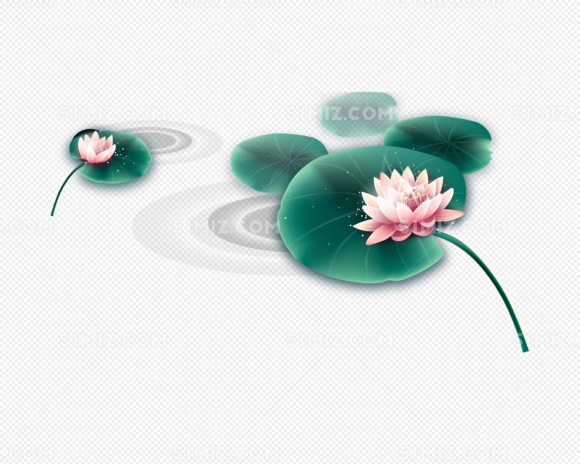 手绘荷花素材