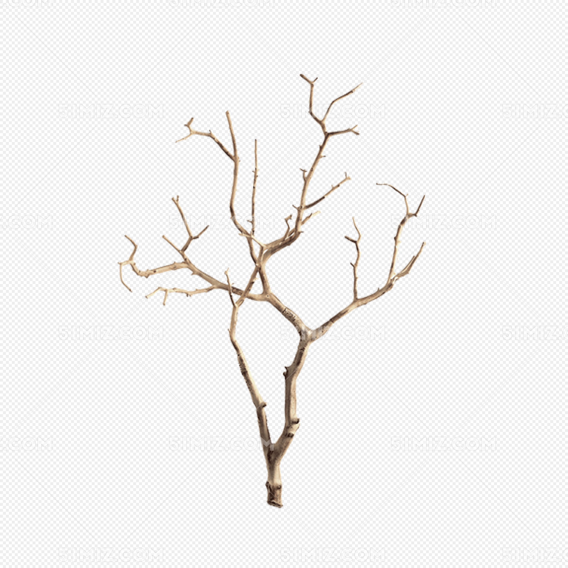 枯树枝