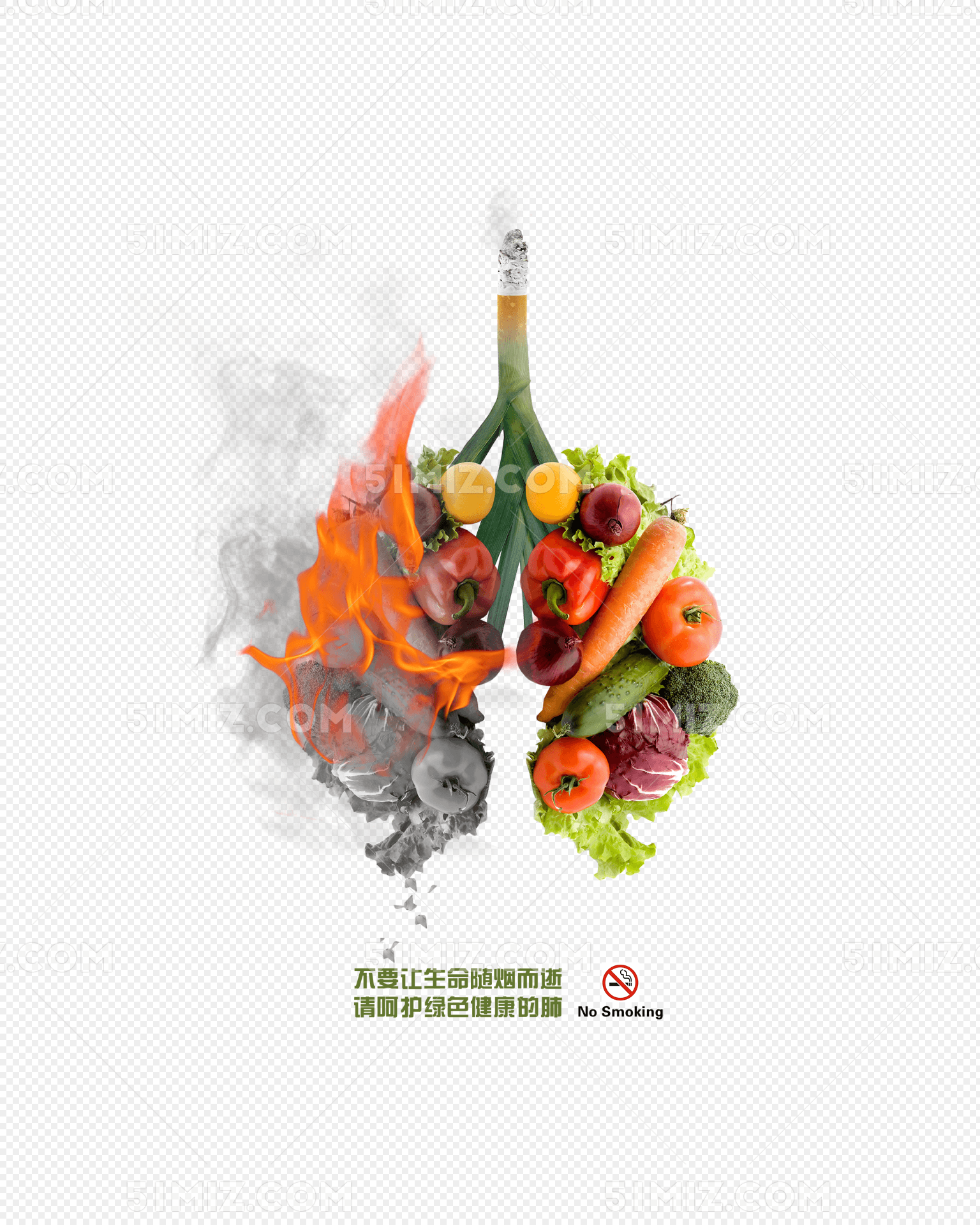 禁烟日公益广告肺部