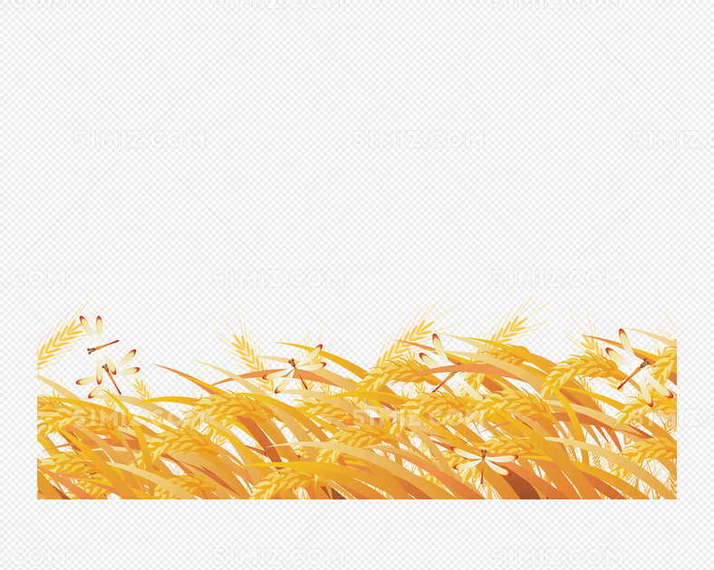 手绘金黄色麦田