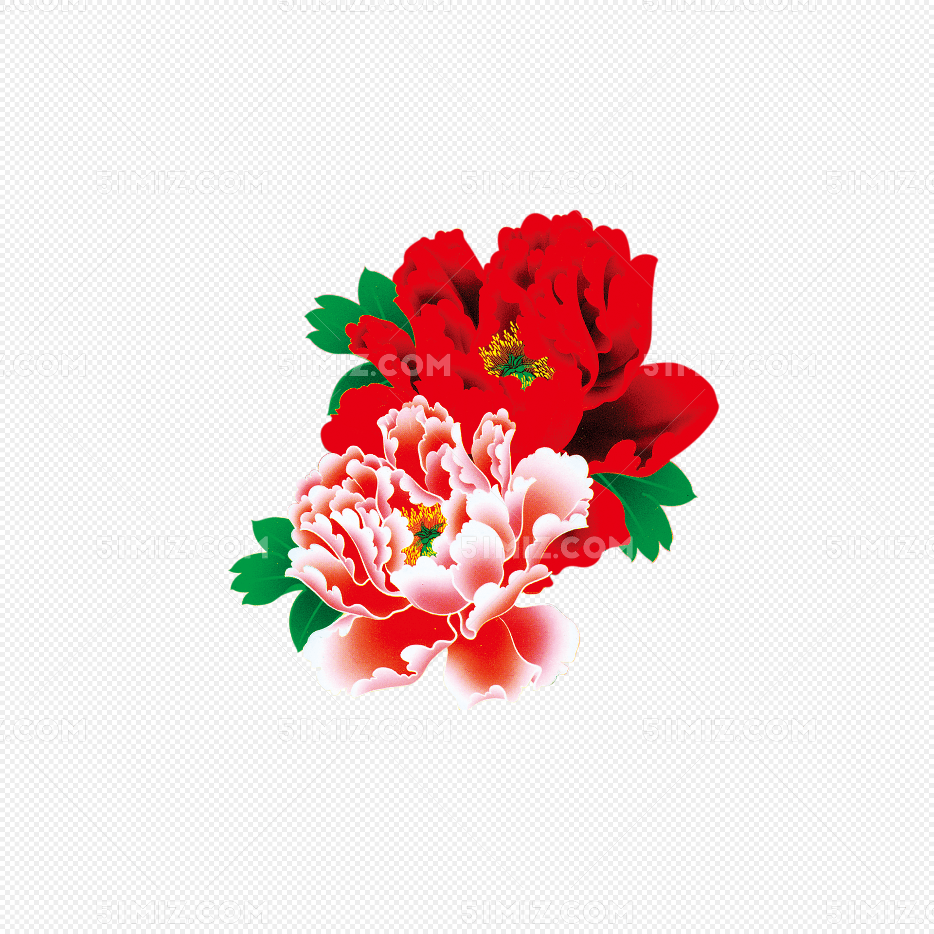 牡丹花 中国风 花朵