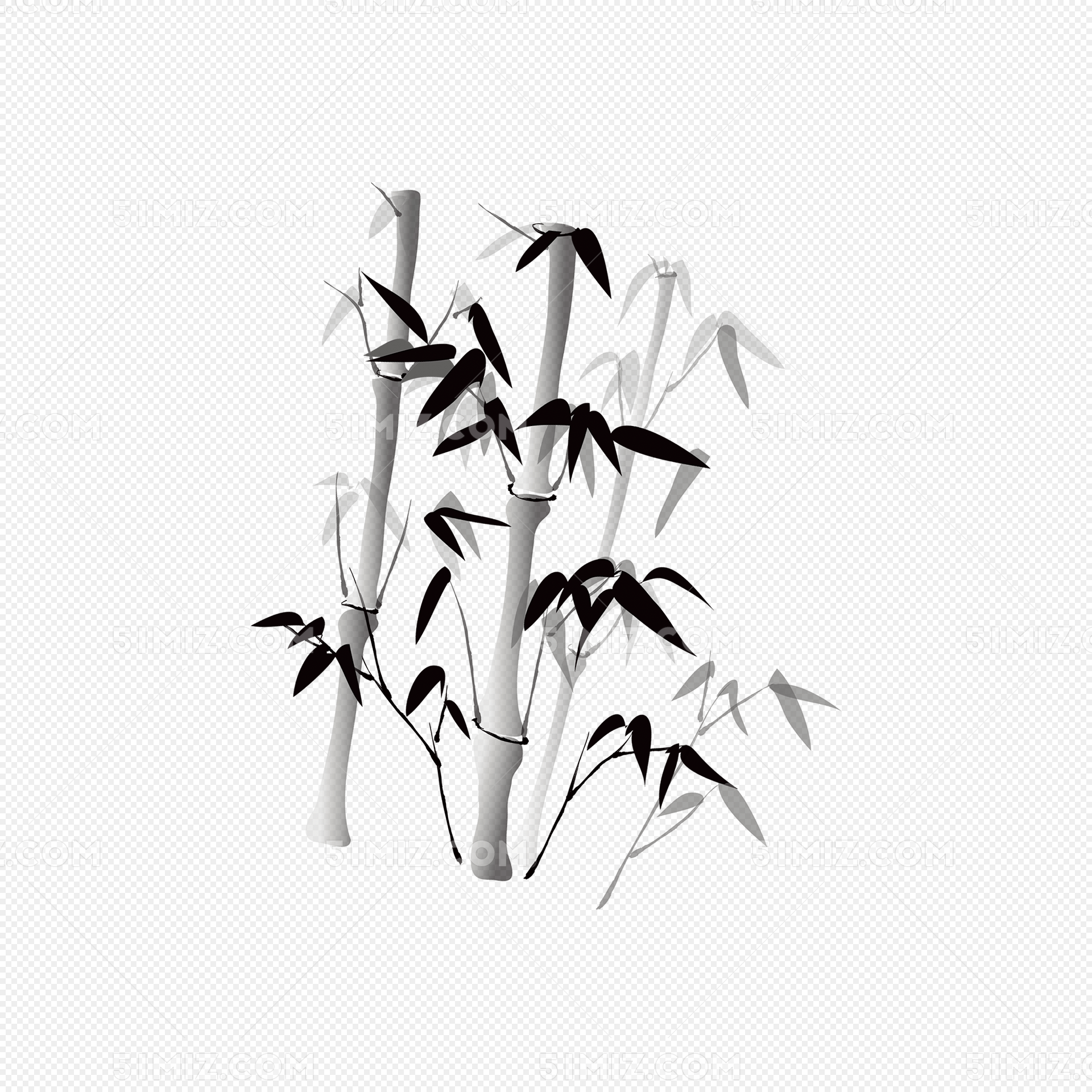 pز