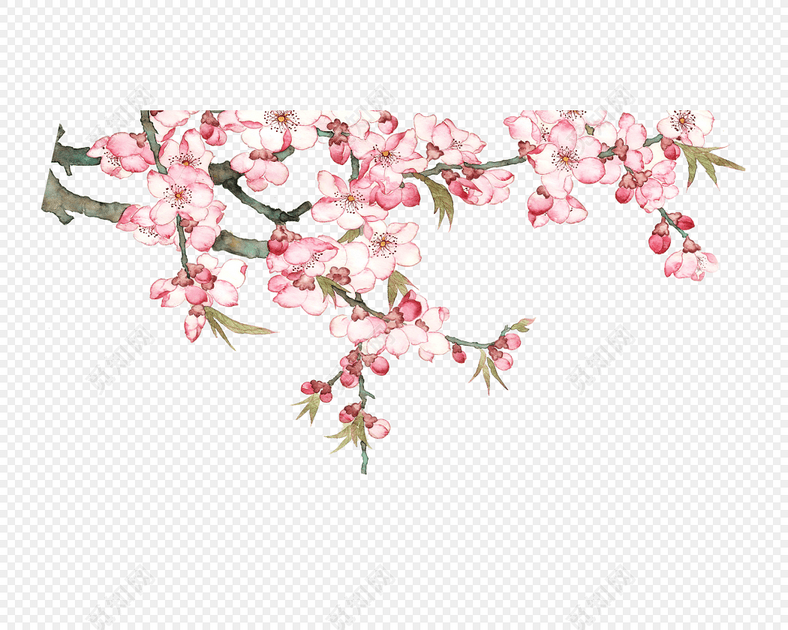 png素材 免抠素材 水彩绘桃花 水彩绘盛开桃树 手绘桃花 您可能感兴趣