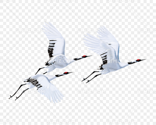 ɺ׺Ⱥ