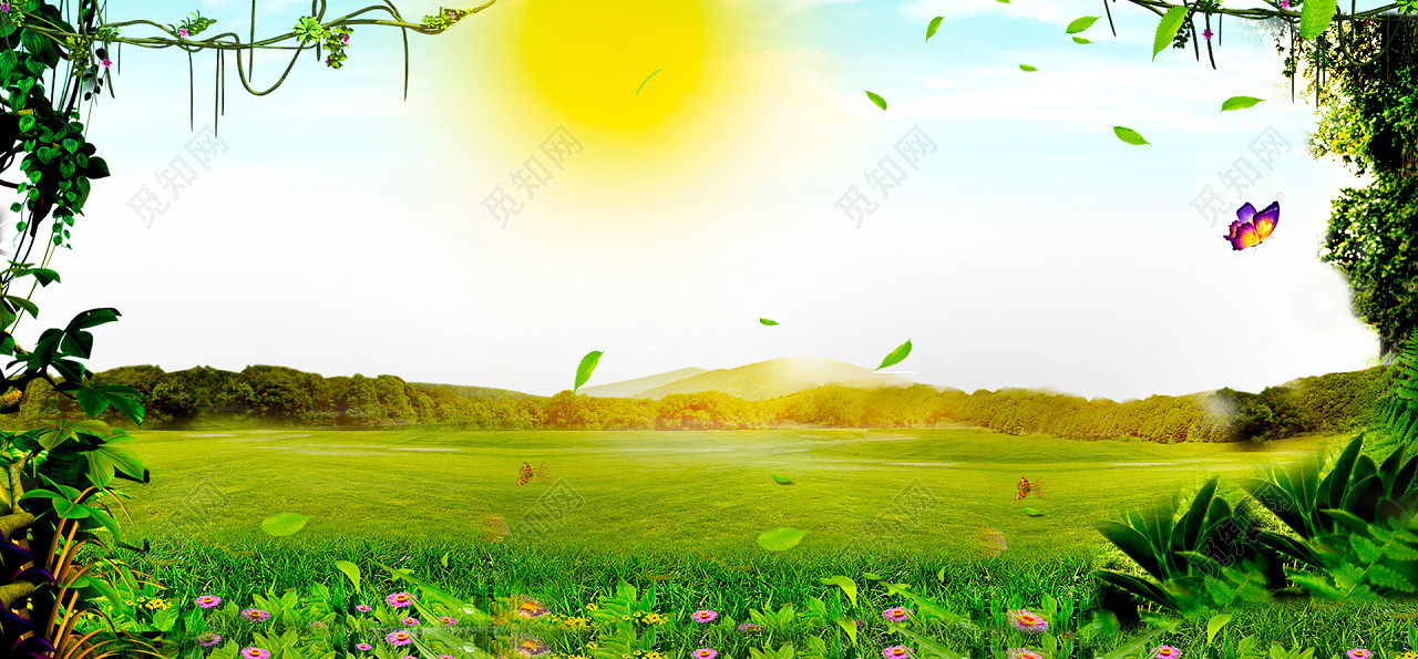 春天景色太阳森林草地绿banner