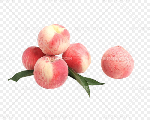 ֻͨˮ