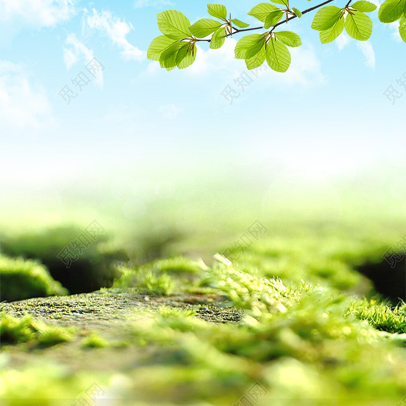 简约小清新植物背景促销主图