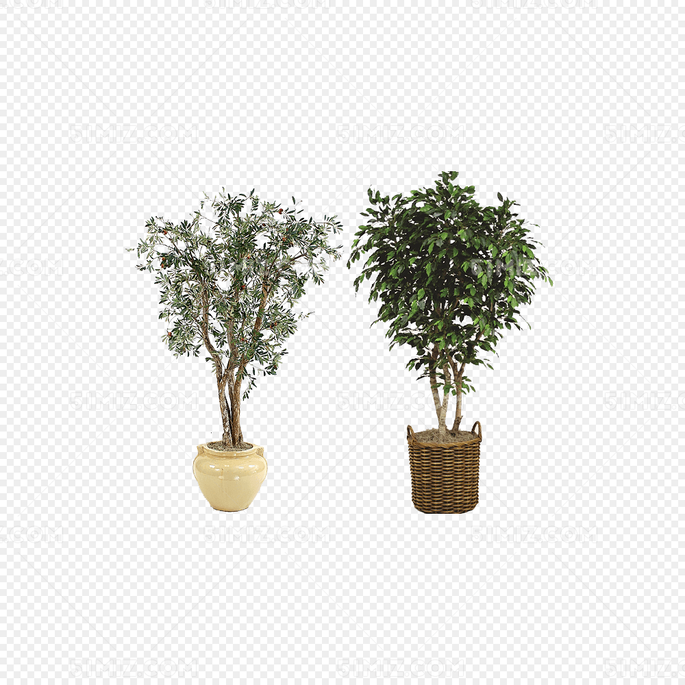盆栽绿植常青树编织花盆瓷盆