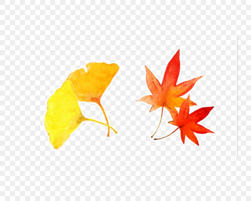手绘秋天的叶子