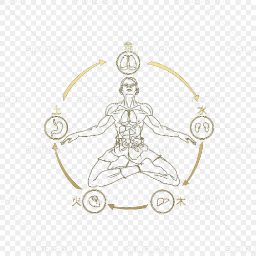 人体金木水火土