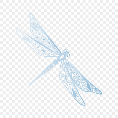 蜻蜓翅膀素材